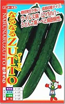 Amazon.co.jp: キュウリ 胡瓜 種子 なるなるZUTTO 18粒 きゅうり